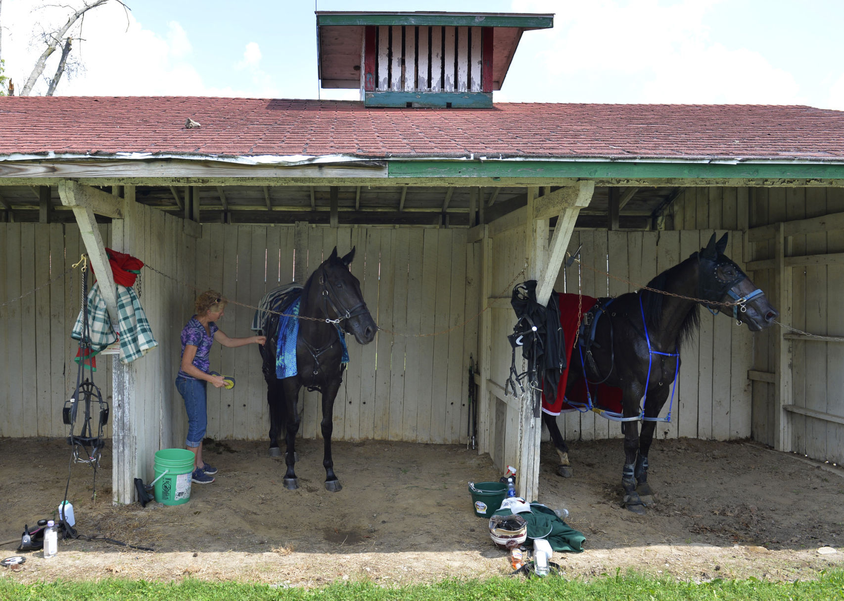 083017-nws-harness-racing-1.jpg